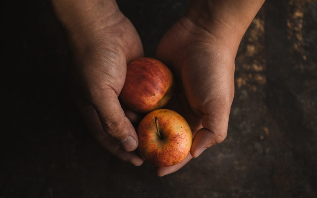 holding apples