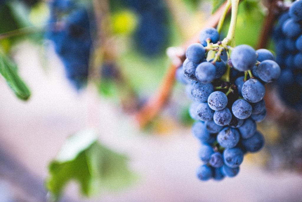 grapes