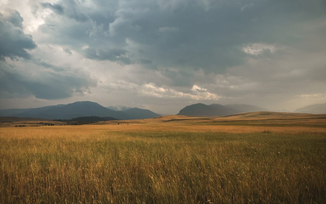 hayfield mountains