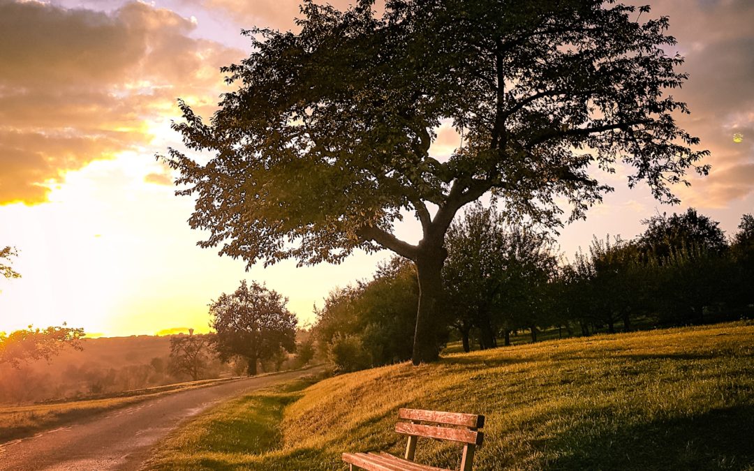 Peaceful bench