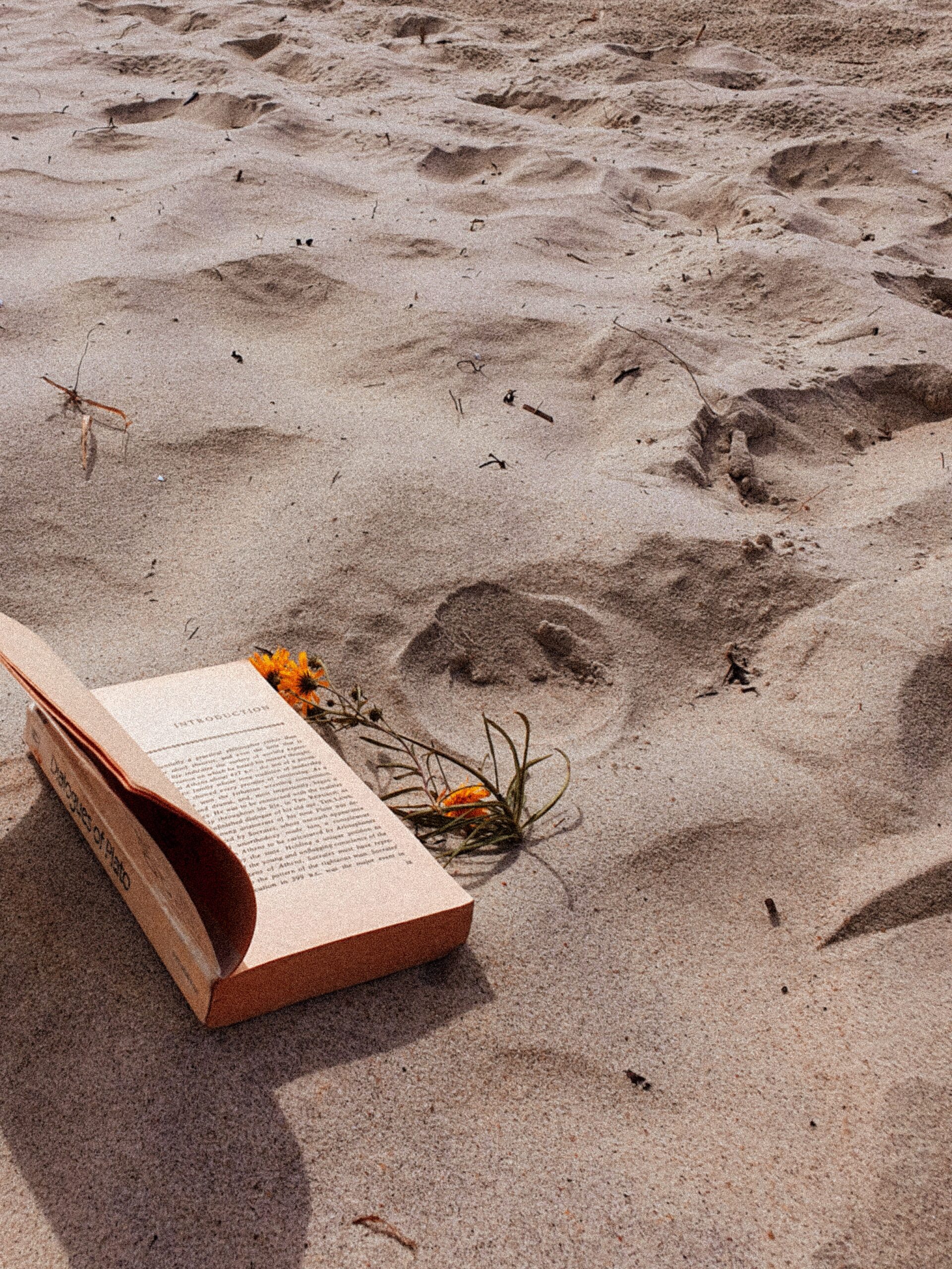 Book on the Beach