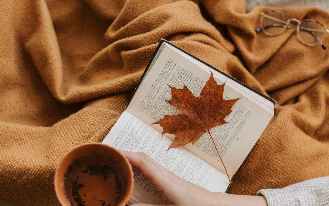 Comfy Cozy Fall Reads