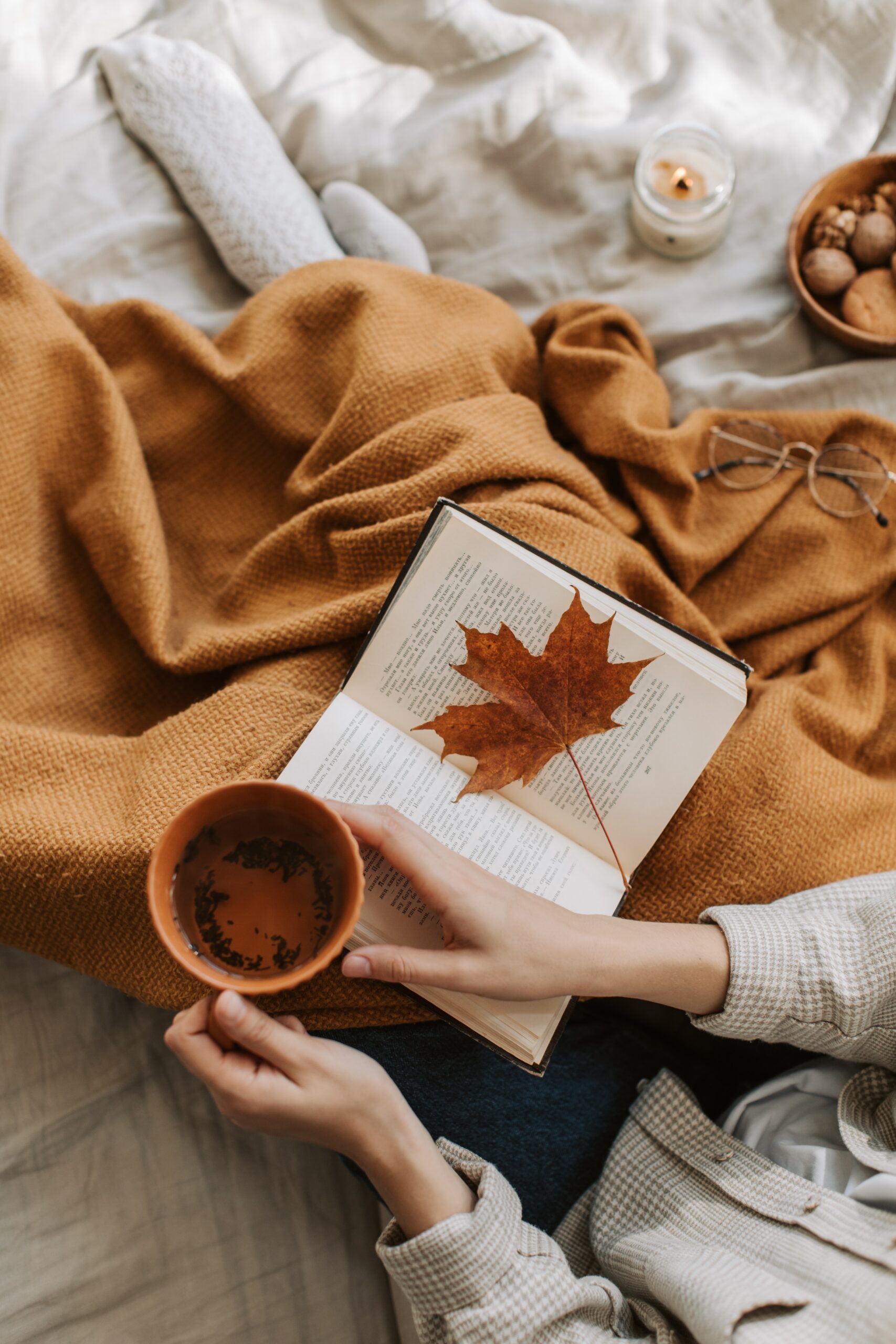Comfy Cozy Fall Reads