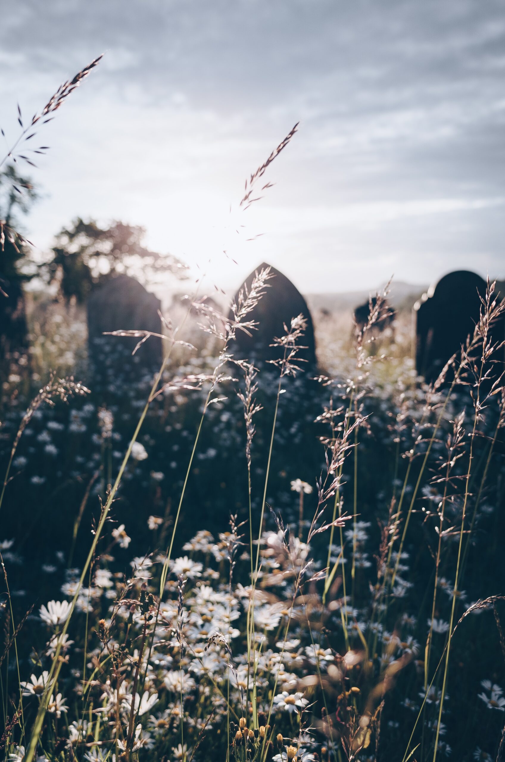 Tomb Stones in a field