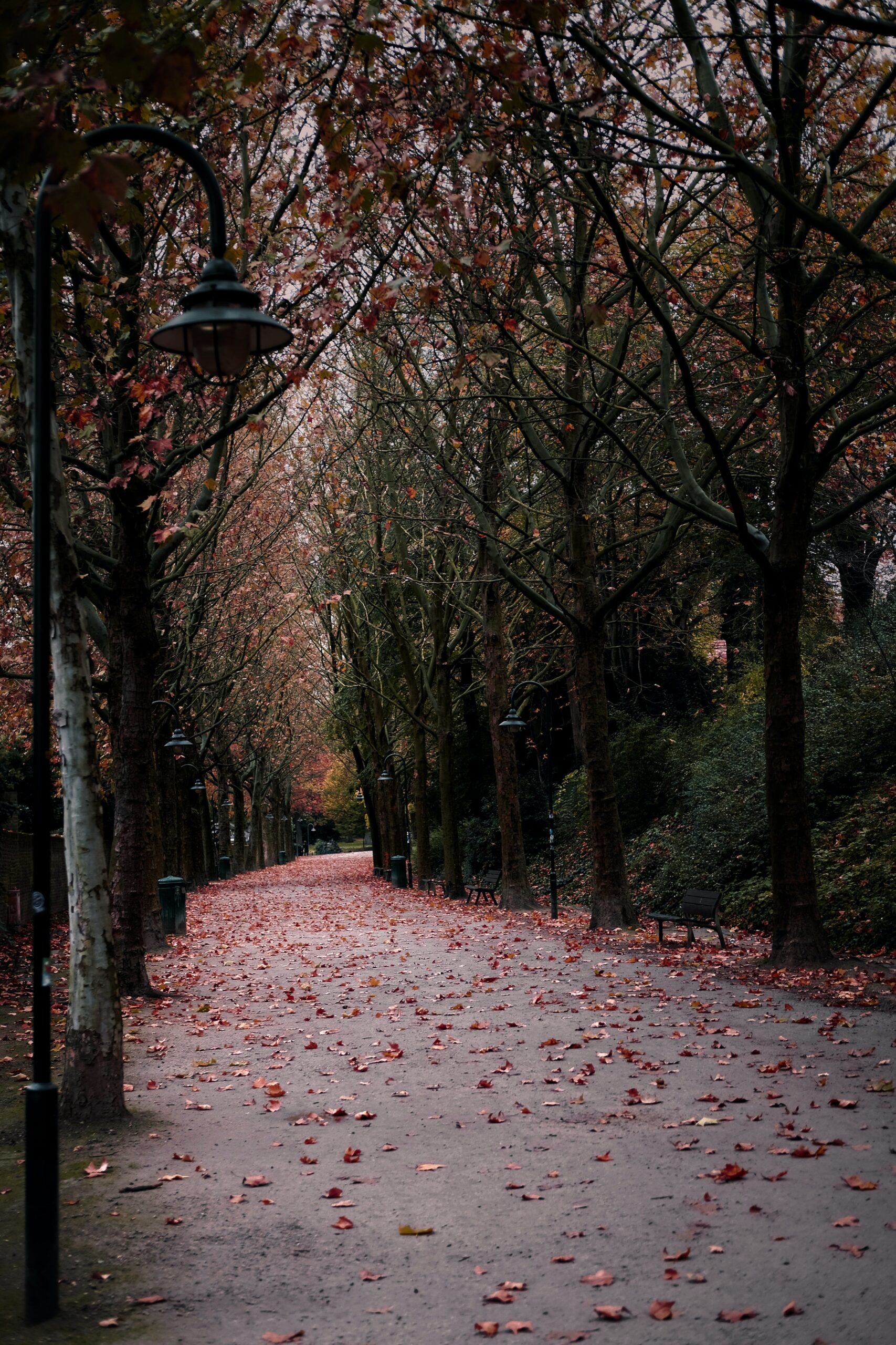 Fall Road